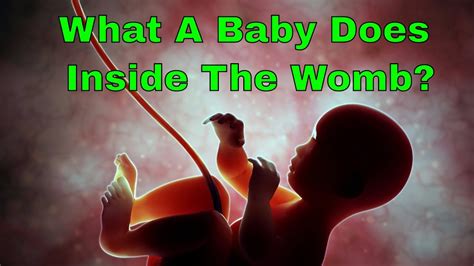 Do babies get startled in womb